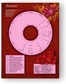 Romance Chart Wheel