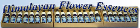 Himalayan Flower Essences by Tanmaya