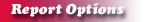 Interporetive Reportt Options